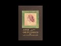 anne of green gables chapter 20