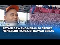 Petani Bawang Merah di Brebes Mengeluh Harga Di Bawah Beras, Minta Presiden Jokowi Menaikkan