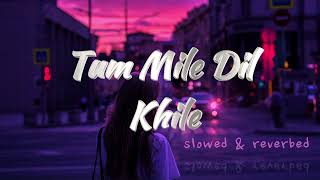 Tum Mile Dil Khile (slowed+reverb)- Kumar Sanu | MUSIC__MIND | #slowedreverb #lofi
