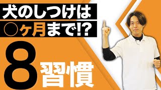 【8つのしつけ】犬のしつけは生後○ヶ月まで！絶対に教えておきたいしつけをプロが紹介します！