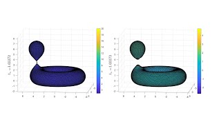 Numerical surgery for mean curvature flow of a torus and a sphere joined by a thin neck