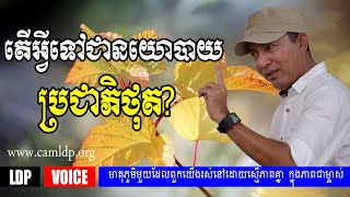 LDP - KHEM VEASNA - តើអ្វីទៅជានយោបាយ ប្រជាភិថុត | លោកពូ ខឹម វាសនា | LDP Voice