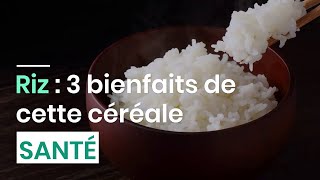 Riz : 3 bienfaits de cette céréale