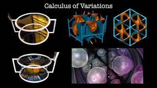 The Calculus of Variations