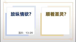 2023.05.28------顺从圣灵？放纵私欲？   金和平