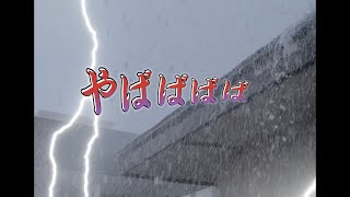 秋田市【突然のゲリラ豪雨】やばくない？　#shorts #秋田 #ゲリラ豪雨  大雨　滝　異常気象　季節　天気　災害級　気候変動　ショート　現在