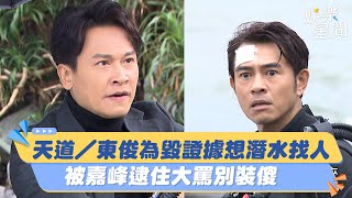 天道／東俊為毀證據想潛水找人　被嘉峰逮住大罵別裝傻｜三立娛樂星聞