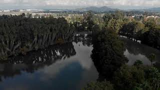 Fairmount Park - Drone Footage (Riverside, California)