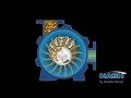 nash liquid ring vacuum pump how it works