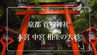 貴船神社【本宮 中宮 相生の大杉】α7III＋Tamron 17-28F2.8＋WEEBILL-S