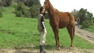 Pasture_Fun_20100306.AVI