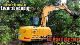 Steking hutan rimba yang penuh kayu besar dan akar rotan @sendyexca1664