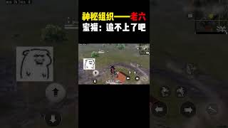 和平精英：老六这个组织怎么遍布全岛呢？！！！！！#shorts