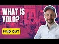 How does YOLO work?