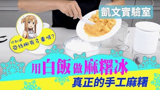 蝦密！用白飯做麻糬冰？無線磅秤料理機 FP-550B 開箱