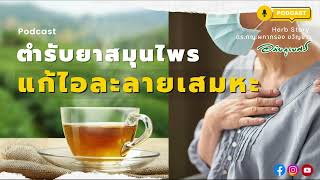 [Podcast] ตำรับยาแก้ไอ ละลายเสมหะ l ซีรีย์ยาไทย