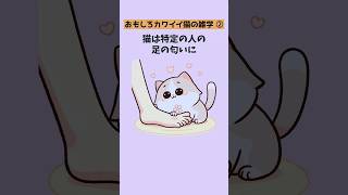 おもしろかわいい【猫の雑学20選②】まだまだある！猫のユニークな行動と不思議な習性 #猫 #雑学 #豆知識