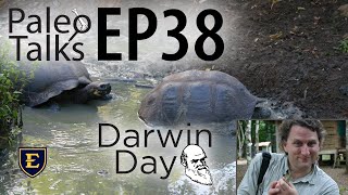 Charles Darwin and the Fossil Record [Paleo Talks EP38]