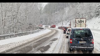 Travel with Me/Exploring the Enchanting Roads of the Black Forest, Germany