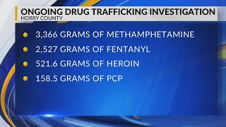Horry County authorities seize 'large quantity' of drugs and guns; 2 arrested