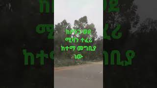 ከቦንጋ ወደ ሚዛን ተፈሪ ከተማ መግቢያ ዳር ላይ ነው