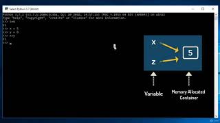1 Variables and Python Memory Management