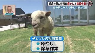 道の駅なみえ派遣社員の主なお仕事は…いやしと時々の除草　 (21/06/09 17:45)