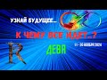 ДЕВА♍УЗНАЙ БУДУЩЕЕ — К ЧЕМУ ВСЕ ИДЕТ..? 🔴10 ДНЕЙ🍀11 - 21 НОЯБРЯ 2024💥Tarò Ispirazione