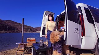 ❄️Cozy car camping with dogs on a windy lake in winter / Car camping / Camping Vlog / Camping ASMR /
