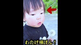 自分の思ったところにフーフーできない赤ちゃんがかわいすぎました笑 #Shorts