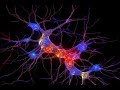 Top 5 Neuroscience News Stories of the Week - May 28, 2023