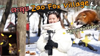 ตะลุยหมู่บ้านสุนัขจิ้งจอก Zao Fox Village ที่จังหวัด Miyagi 🦊🦊