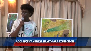 Adolescent Mental Health Multimedia Exhibition