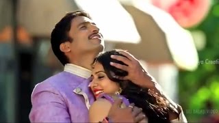 Loukyam Movie Sudu Sudu Song Trailer || Gopichand, Rakul Preet Singh || Sri Balaji Video