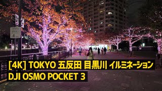 [4K] DJI OSMO POCKET 3 | 東京 五反田 目黒川 イルミネーション | Takaaki Tatsumi Ep.078