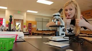 Microscope Quiz Review
