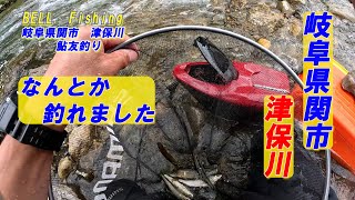 岐阜県関市津保川に鮎友釣りに行って来ました。