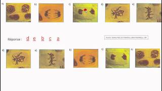 8-1-(1-2)_vd_modes-reprod_meiose_q.1a34.avi