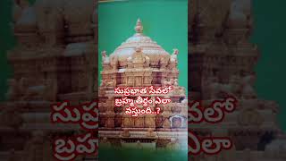 సుప్రభాత సేవలో బ్రహ్మ తీర్థం ఎలా వస్తుంది.? Interesting facts about lord Venkateswara Swamy Om 🙏🙏🙏🙏