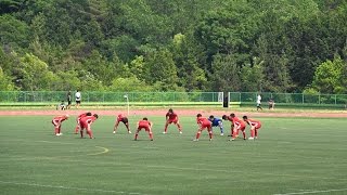 2017.5.21 愛知県高校総体サッカー準決勝 東邦vs名古屋 後半