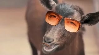 Gunther - Ding Dong Song (Goat Remix)