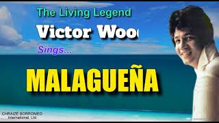 MALAGUEÑA - Victor Wood (with Lyrics)