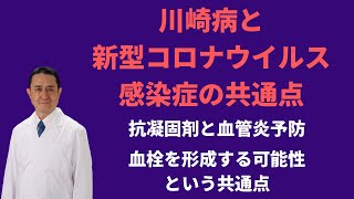 川崎病と新型コロナウイルス感染症の共通点－血管炎予防と血栓を形成する可能性について／犬房春彦（ルイ・パストゥール医学研究センター／医師・医学博士）