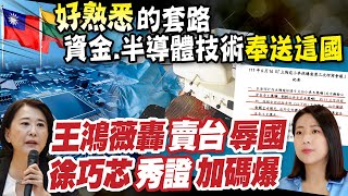 【每日必看】轟政府賣台! 王鴻薇:資金.半導體技術送立陶宛｜台宛\