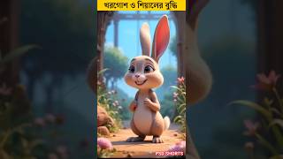 খরগোশ ও শিয়ালের বুদ্ধি | Rabbit \u0026 fox Story #shorts #short #facts #story