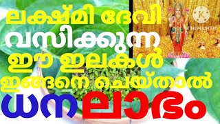 തടസ്ഥങ്ങൾ നീങ്ങി ധന ലാഭം വന്നു തുടങ്ങാൻ ഈ രണ്ട് ഇലകൾ സൂക്ഷിക്കുക.