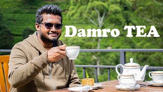 Damro Tea Lounge (Nuwara Eliya - Labukale) Teh شاي  茶 茶 Thee