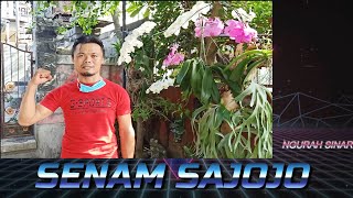 SENAM SAJOJO VERSI LATIHAN