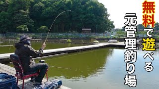 You can fish for crucian carp in a fishing pond that you can enjoy for free. Even though it is a ...