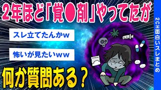 【2ch闇深いスレ】2年ほど覚●剤やってたが何か質問ある？【ゆっくり解説】